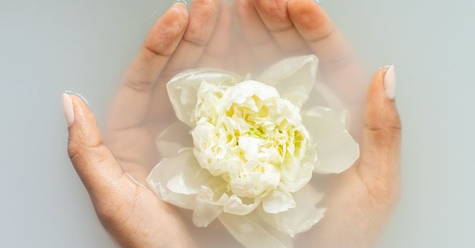 Your Body: A Brilliant Machine – Let’s Keep It Running Smoothly