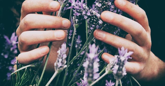 Acupuncture: The Wellness Habit Your Body Deserves image